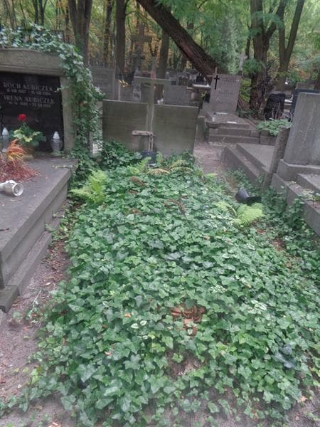 Zdjęcie grobu Janina Hon (1)