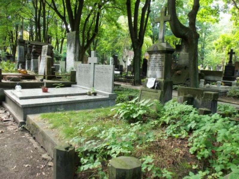 Zdjęcie grobu Klementyna Chrostowska (1)