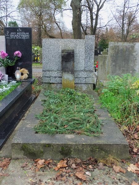 Zdjęcie grobu: Stanisław Turczyński