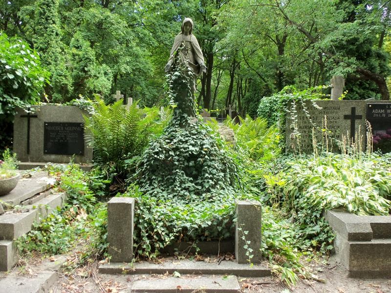 Zdjęcie grobu: Władysława Wołowska