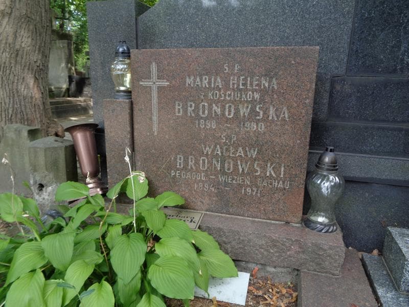 Zdjęcie grobu Maria Helena Bronowska (2)