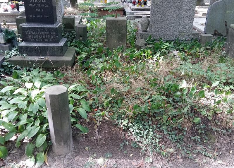 Zdjęcie grobu Marjanna Lepakiewicz (1)