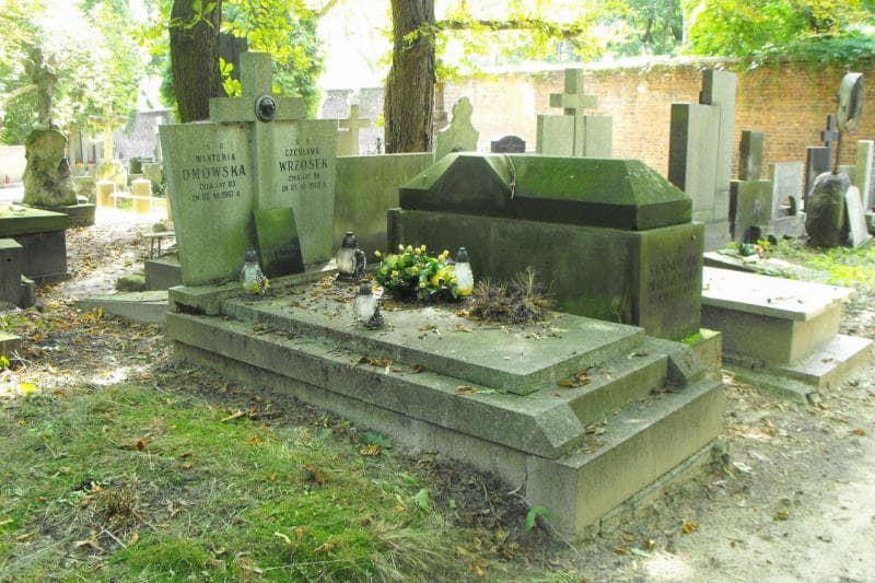 Zdjęcie grobu Wacław Wrzosek (2)