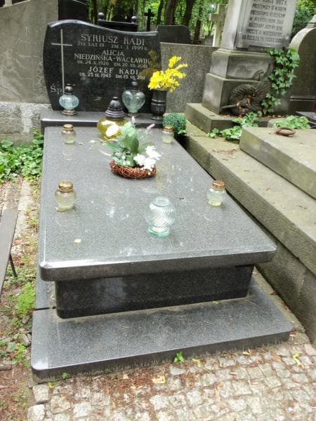 Zdjęcie grobu: Alicja Niedzińska-Wacławik