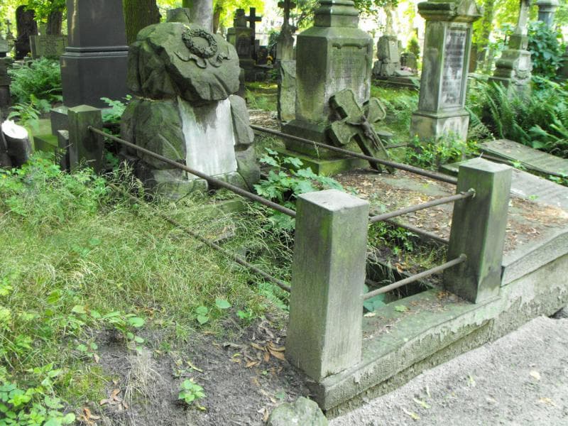 Zdjęcie grobu: Emile Ledoux