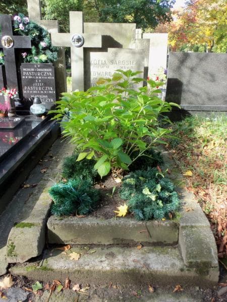 Zdjęcie grobu: Małgosia Dowkontt