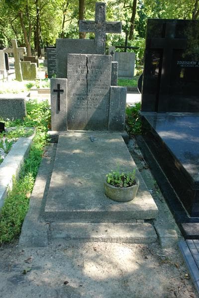 Zdjęcie grobu Julia Andrzejewska (1)