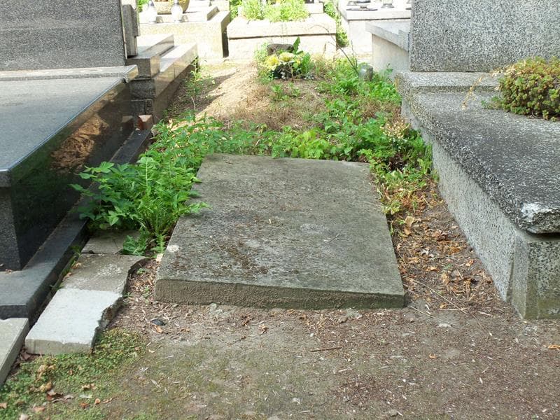 Zdjęcie grobu: Maria Jarzębińska
