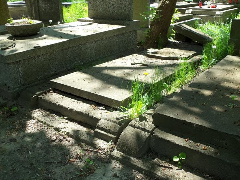 Zdjęcie grobu Aleksy Obuchowski (1)