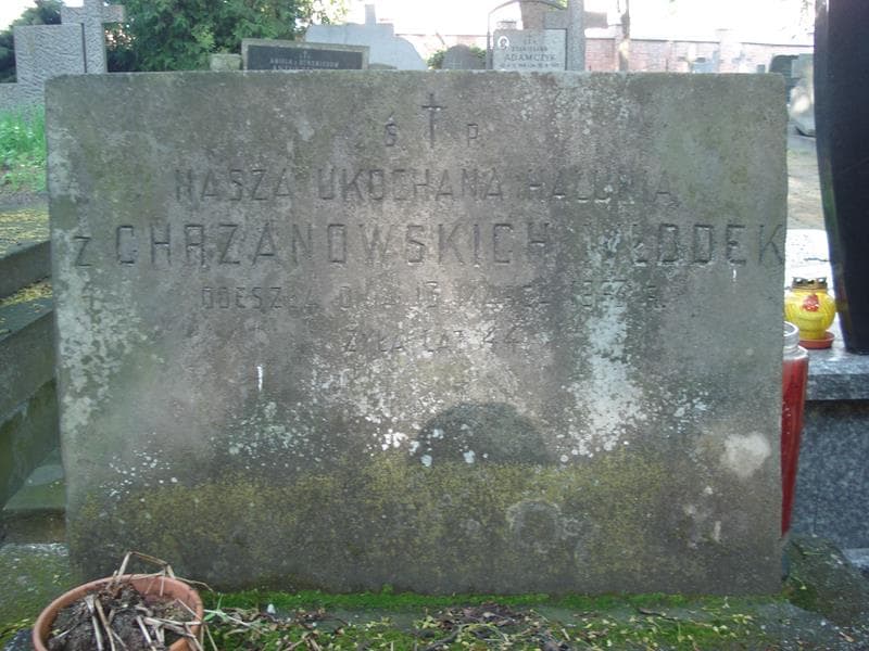 Zdjęcie grobu Halunia Włodek (1)
