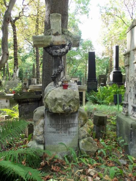 Zdjęcie grobu Teodor Rościszewski (2)
