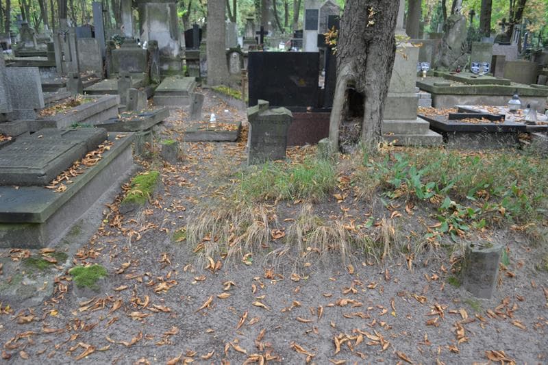 Zdjęcie grobu Józefa Piotrowska (1)