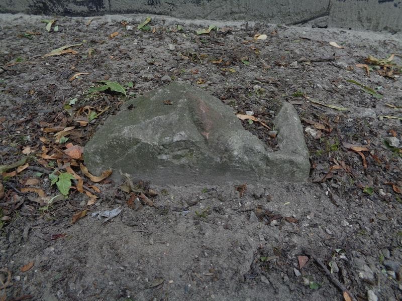 Zdjęcie grobu Wacław Wróblewski (2)