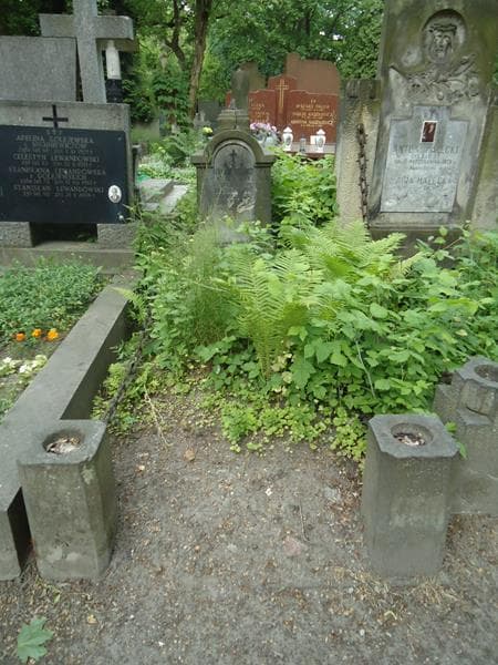 Zdjęcie grobu: Stanisław Okunowski