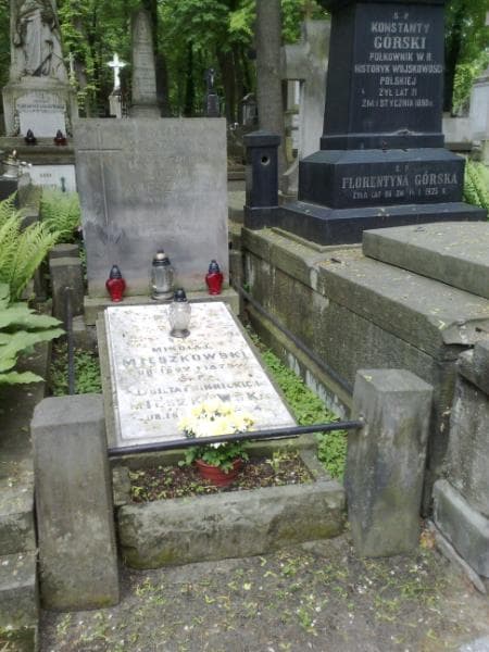 Zdjęcie grobu: Ludwik Mieszkowski