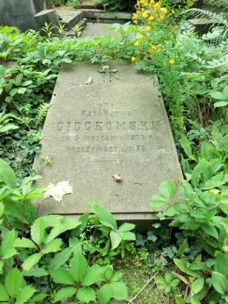 Zdjęcie grobu Katarzyna Ciechomska (2)