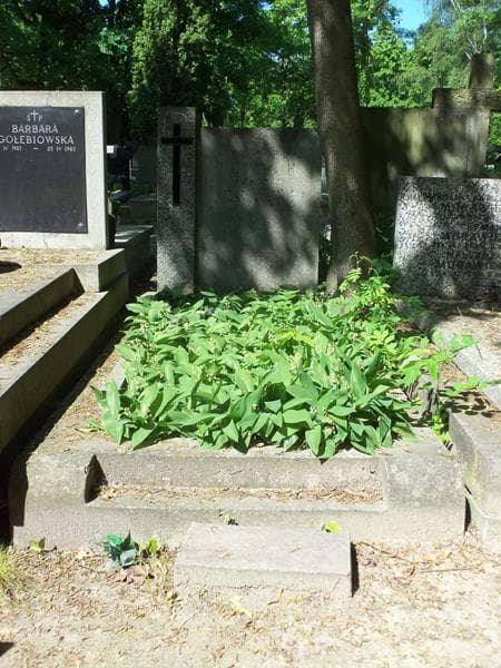 Zdjęcie grobu: Edward Tetych