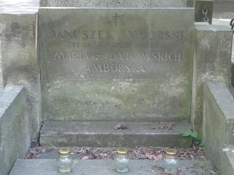 Zdjęcie grobu Januszek Amborski (2)