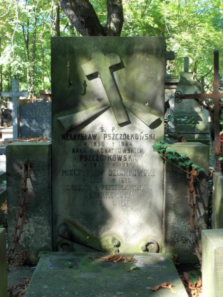 Zdjęcie grobu Anna Pszczółkowska (2)