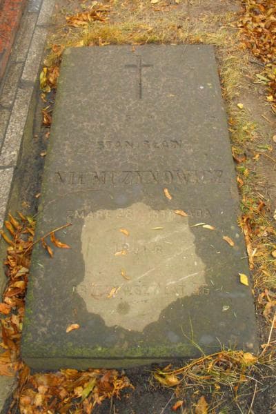 Zdjęcie grobu Stanisław Niemczynowicz (2)