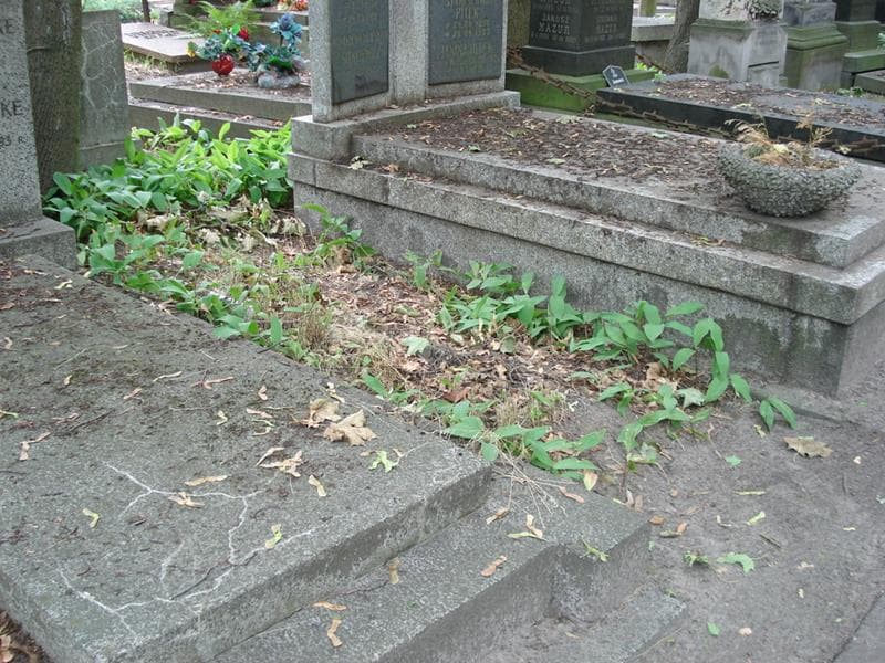 Zdjęcie grobu: Pole Grobowe
