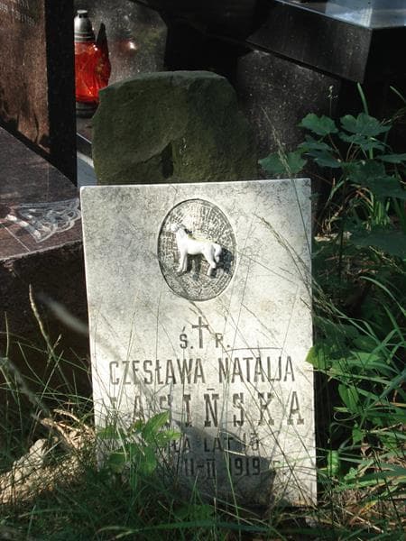 Zdjęcie grobu Czesława Natalja Jasińska (1)