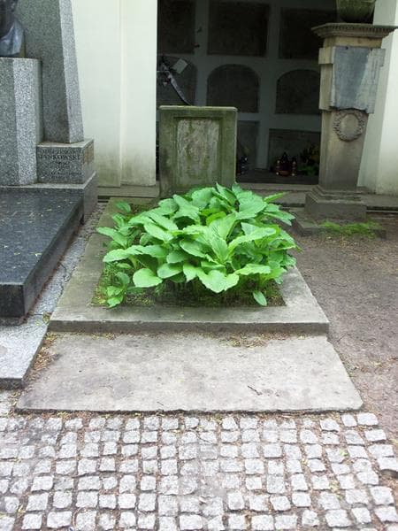 Zdjęcie grobu: Anonim