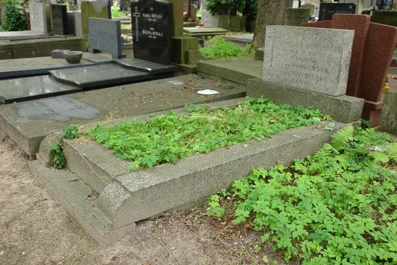 Zdjęcie grobu: Eugeniusz Rymkowski