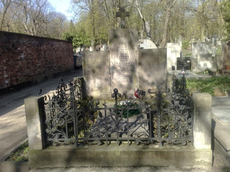 Zdjęcie grobu: Stanisław Gostyński