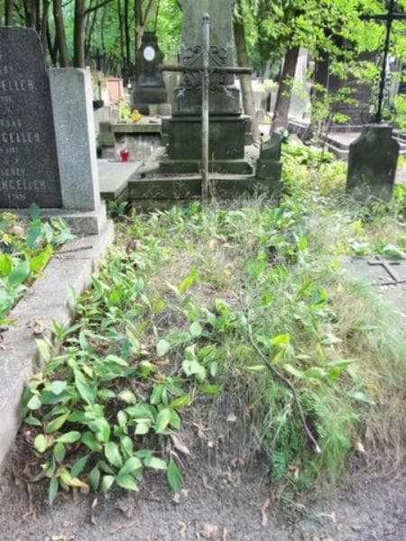 Zdjęcie grobu: Anonim