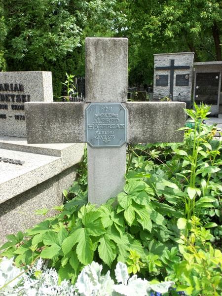 Zdjęcie grobu Alfred Haberzak (2)
