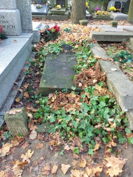 Zdjęcie grobu: Marja Degórska