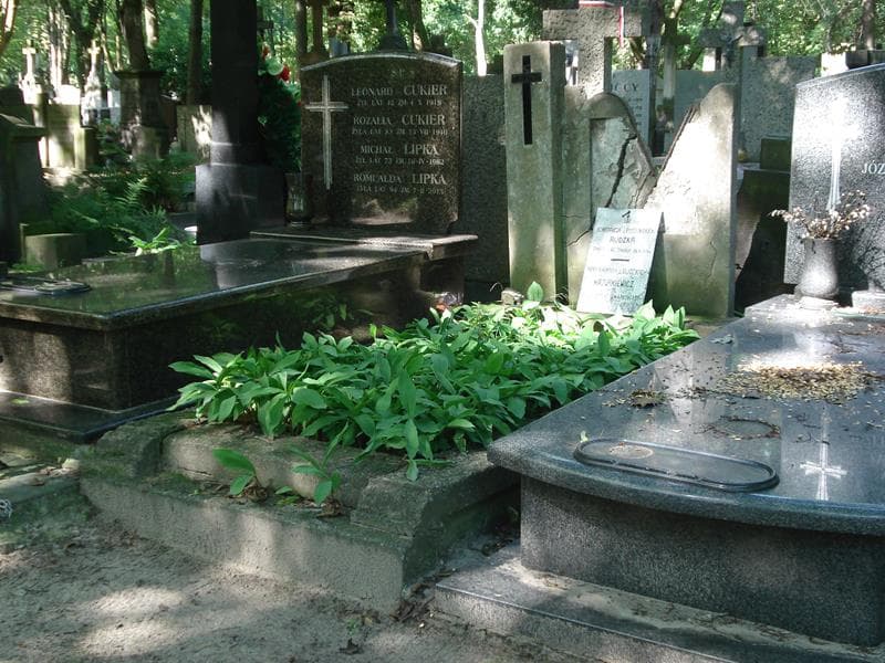 Zdjęcie grobu Konstancja Rudzka (1)