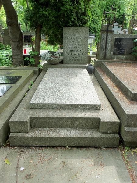 Zdjęcie grobu: Zygmunt Szelągowski