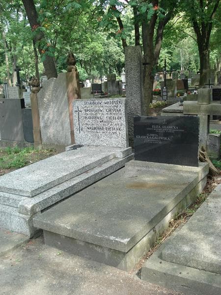 Zdjęcie grobu Eliza Ulanicka (1)