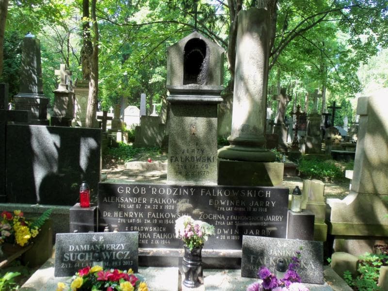 Zdjęcie grobu Edwin Jarry (2)