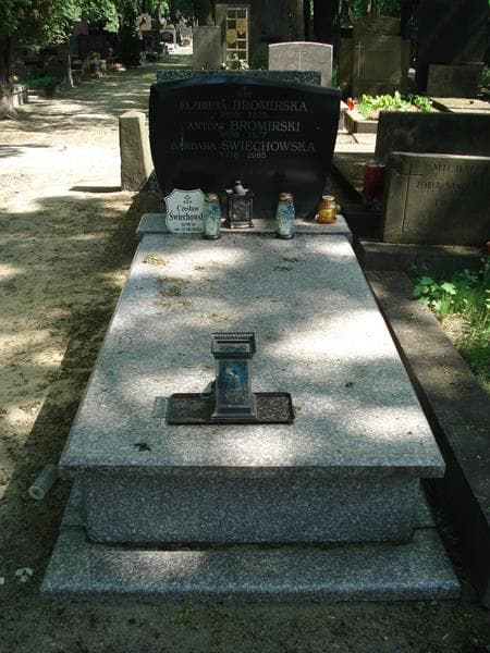 Zdjęcie grobu: Elżbieta Bromirska