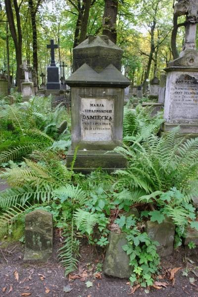 Zdjęcie grobu Marja Damięcka (1)