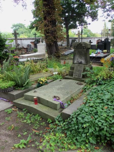 Zdjęcie grobu Władysław Przedpełski (1)