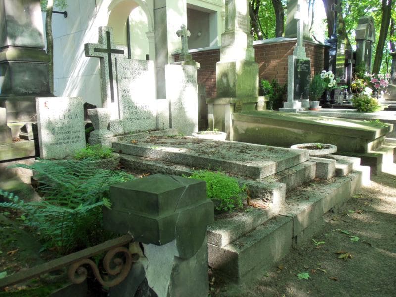 Zdjęcie grobu Zbigniew Seliga (1)