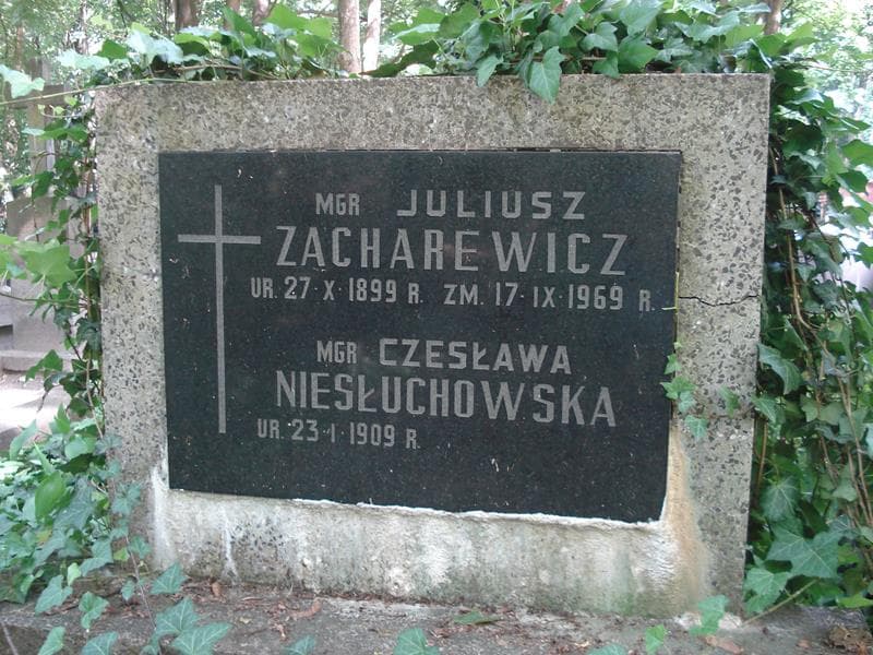 Zdjęcie grobu Juliusz Zacharewicz (1)