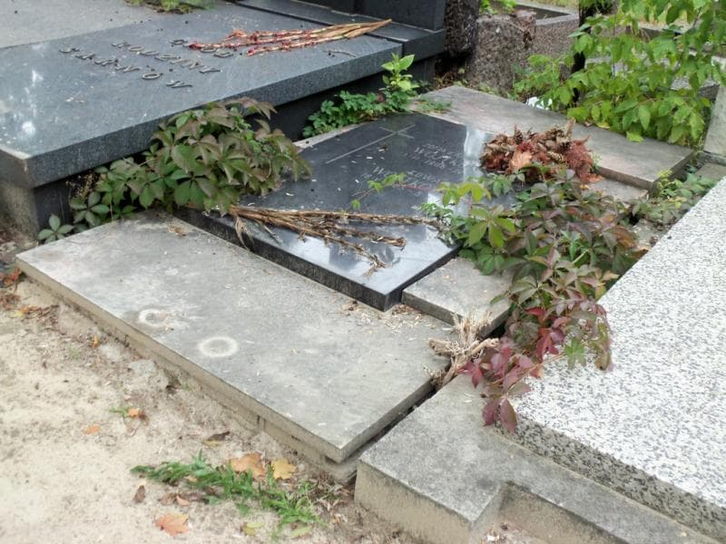 Zdjęcie grobu Zofia Wojtkowska (1)