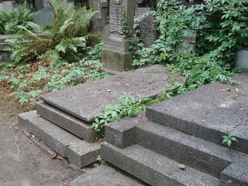 Zdjęcie grobu: Kazimiera Goławska