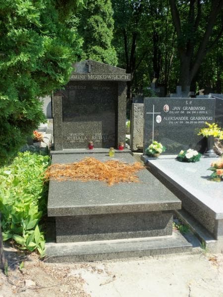 Zdjęcie grobu Wiktor Kubala (1)