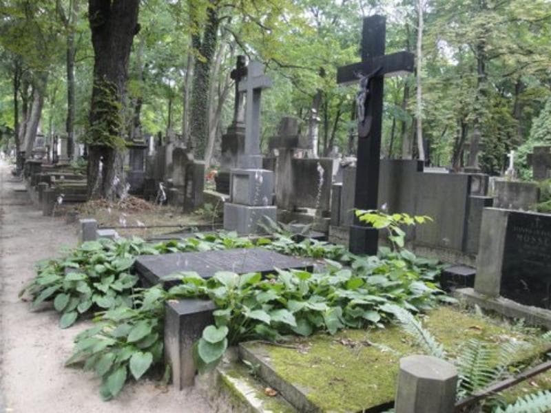 Zdjęcie grobu Stanisław Mierczyński (1)