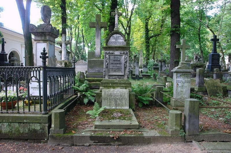 Zdjęcie grobu Małgorzata Krzywoszewska (1)