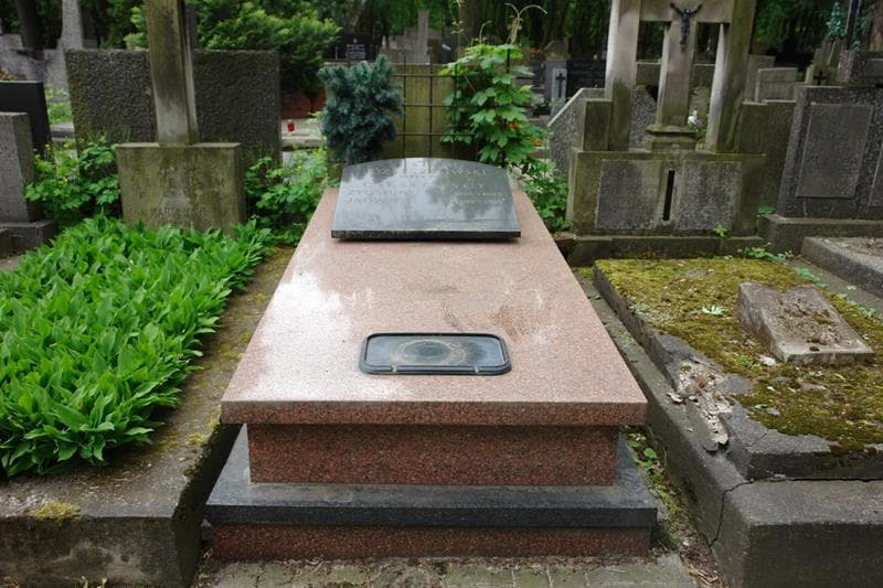 Zdjęcie grobu Zygmunt Cieślewski (1)
