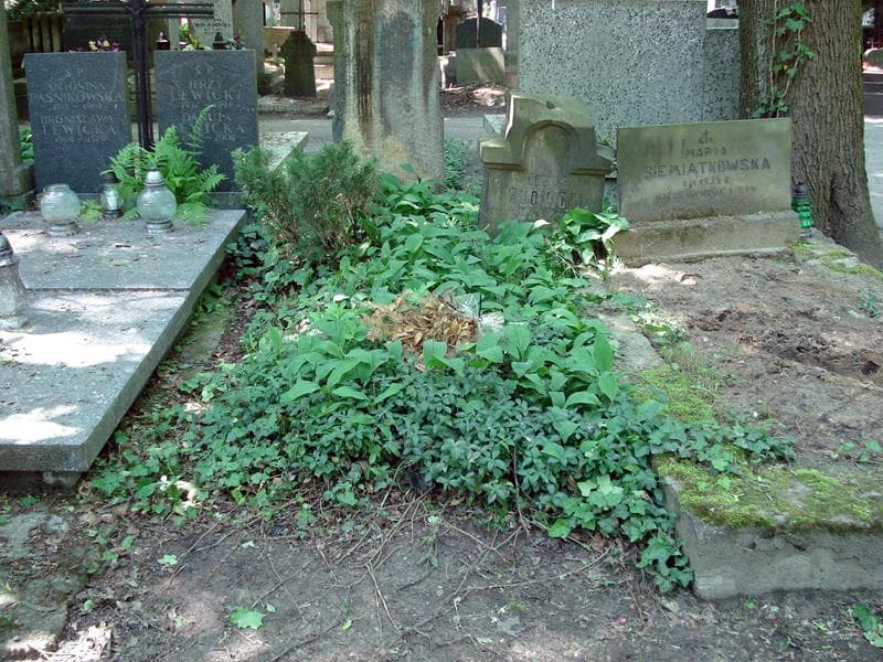 Zdjęcie grobu: Feliks Rudnicki