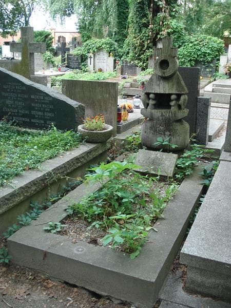 Zdjęcie grobu Piotr Piotrowicz (1)