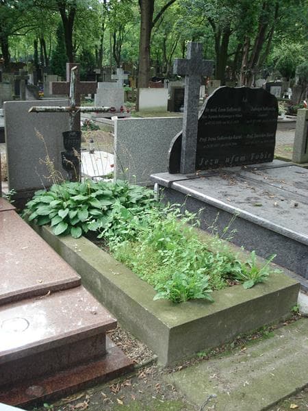 Zdjęcie grobu Stanisław Fortini (1)